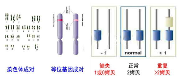 e311b58884fdeca834dc4176e3968b2a.png