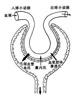 u5f04144552944.png